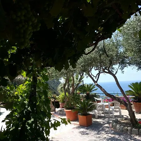 Giardino Del Sole 2* Forio (Isola d'Ischia)