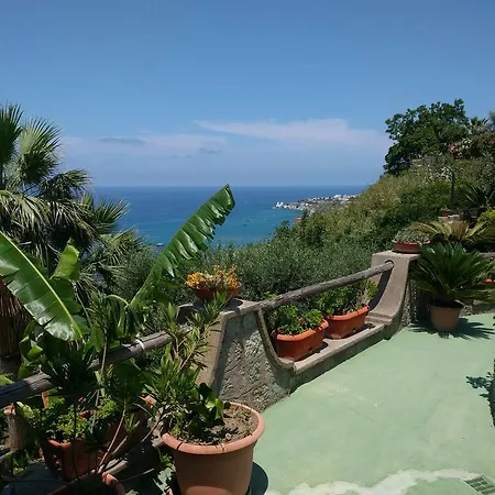 Giardino Del Sole Forio (Isola d'Ischia)