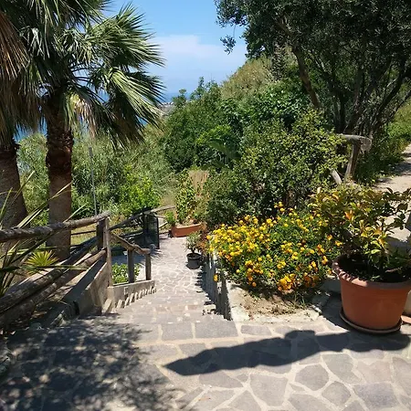 Апарт-готель Giardino Del Sole Forio (Isola d'Ischia)