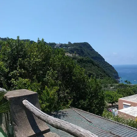 Апарт-готель Giardino Del Sole Forio (Isola d'Ischia)