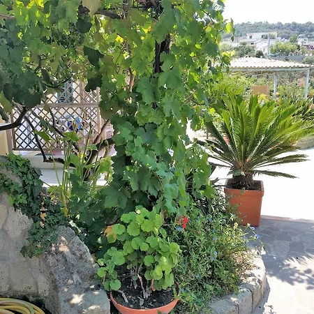 Giardino Del Sole Forio (Isola d'Ischia)