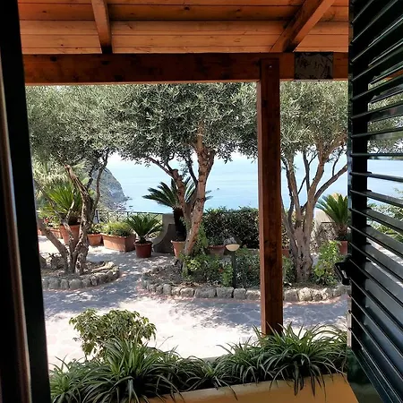 Giardino Del Sole Forio (Isola d'Ischia)